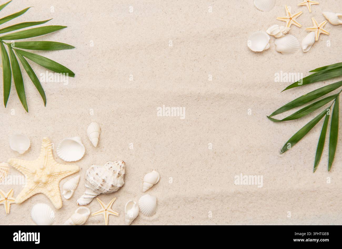 Tropical background featuring palm leaves, seashells, and starfish on sand Stock Photo