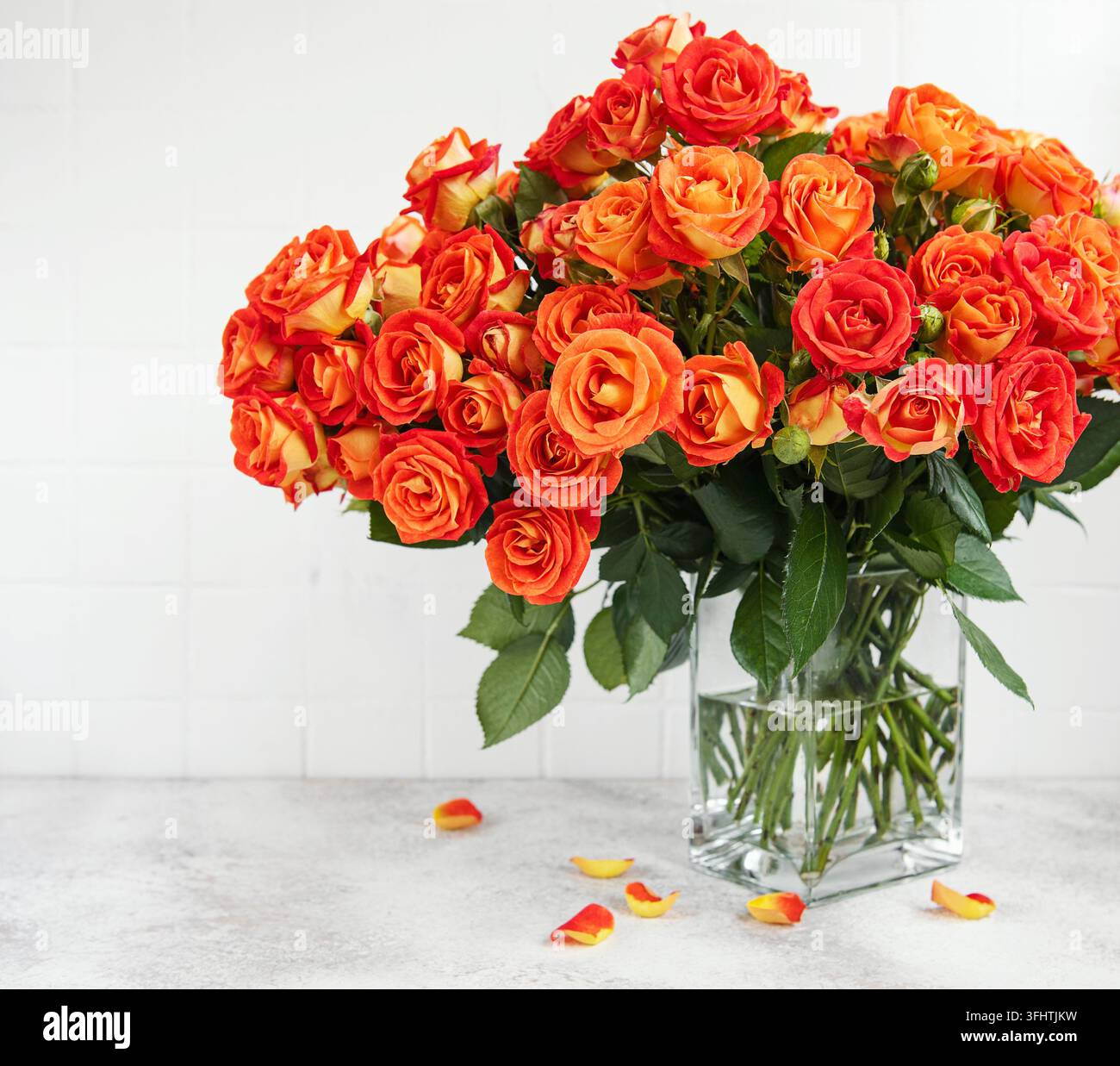 Red Roses Fixtures Roses in glass hi-res stock photography and images - Alamy