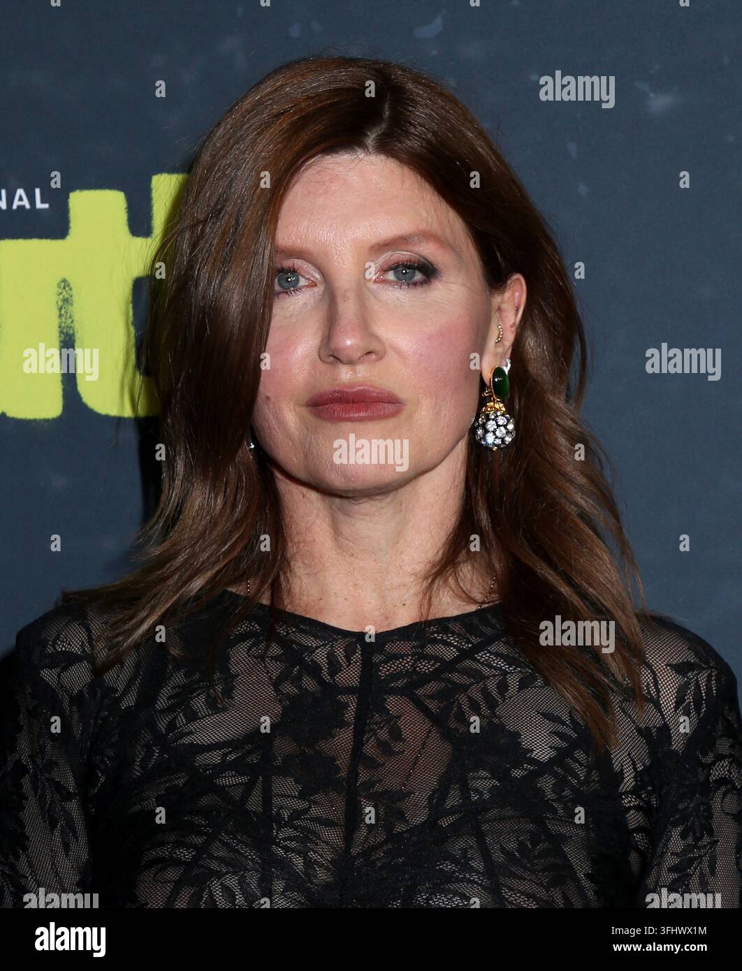 sharon-horgan-attending-hbo-s-youth-new-york-premiere-held-at-the-dga