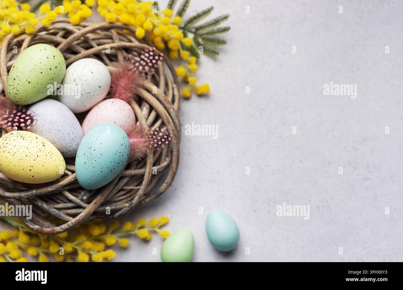 Colorful Easter Eggs Nestled in a Wicker Basket With Yellow Flowers on a Light Background Stock Photo
