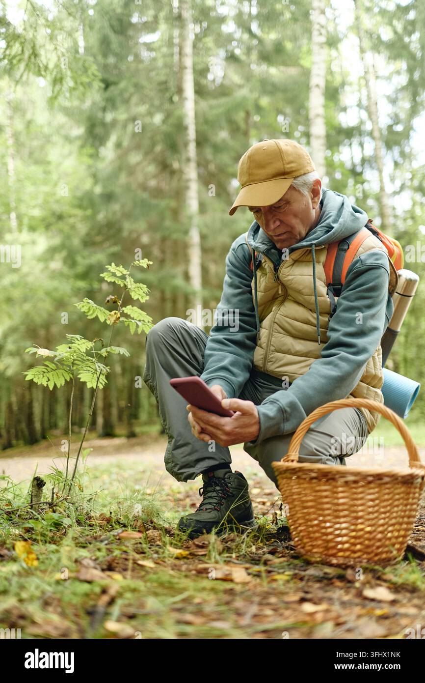 Senior Man Using Smartphone for Plant Identification in Forest Stock Photo