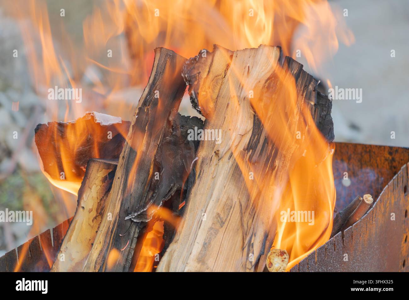 Split Vector Image Bright orange flames surrounding split firewood burning inside a rustic ...