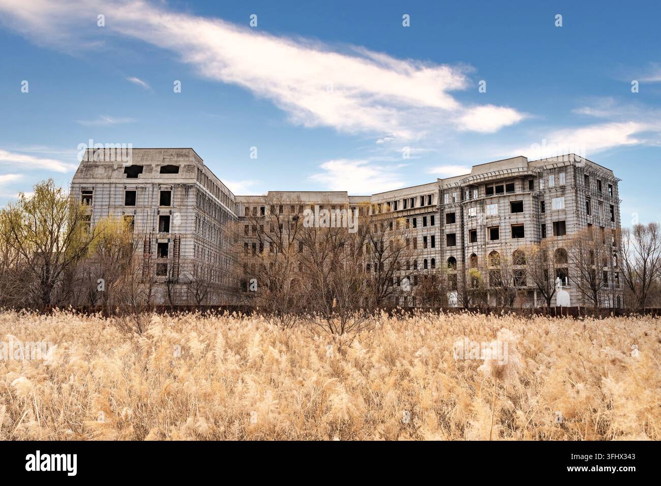 Abandoned unfinished concrete building in front of reed beds on a sunny day Stock Photo