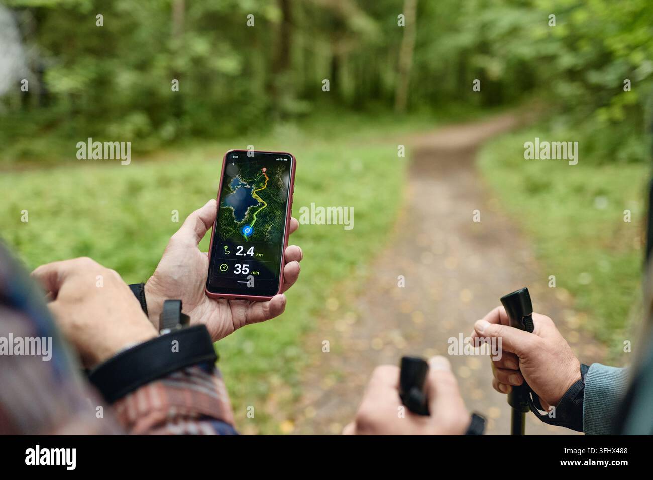 Senior Men Using Navigation App on Smartphone While Hiking in Forest Stock Photo