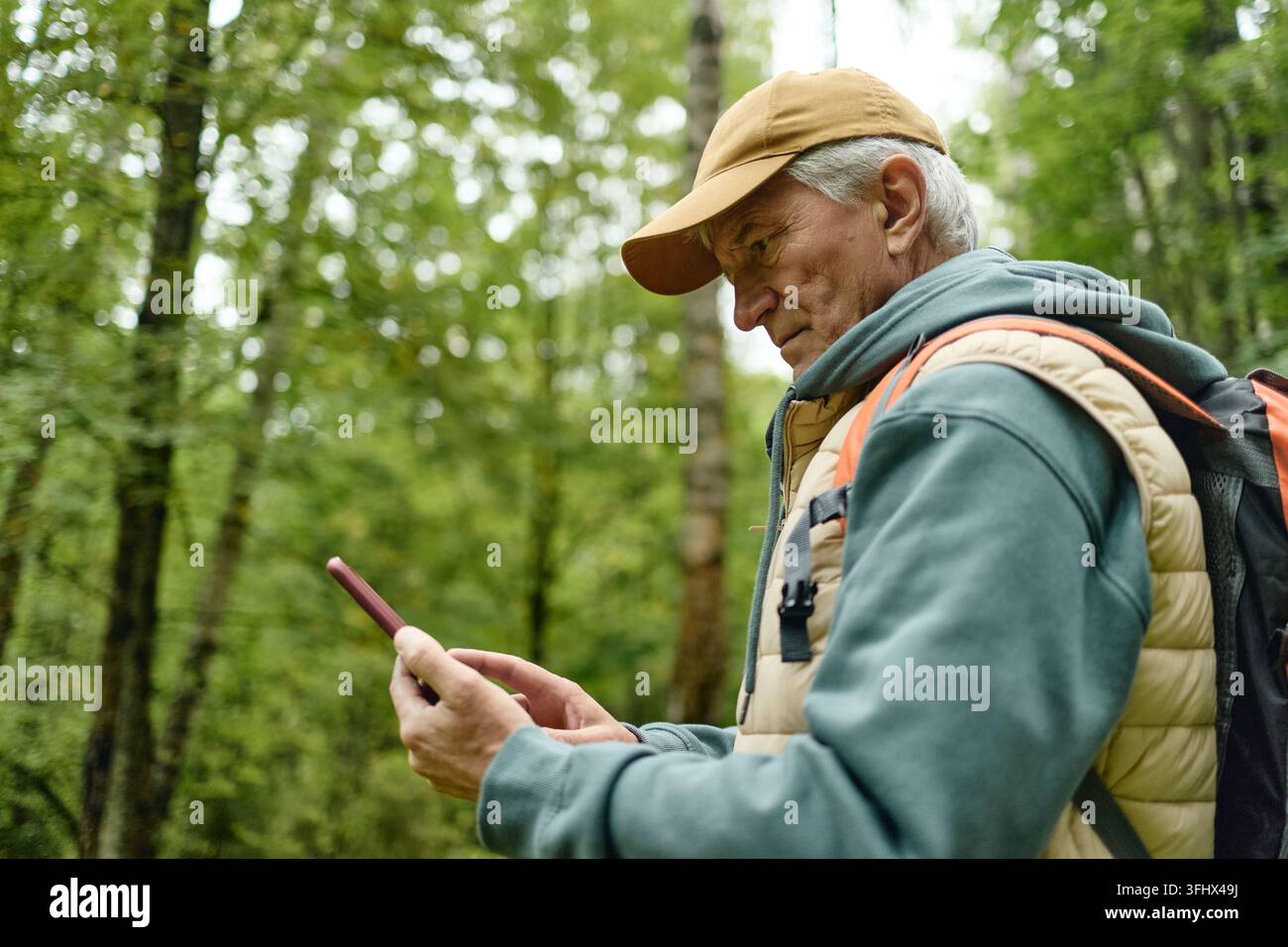 Senior Man Using Smartphone for Navigation during Hike in Forest Stock Photo