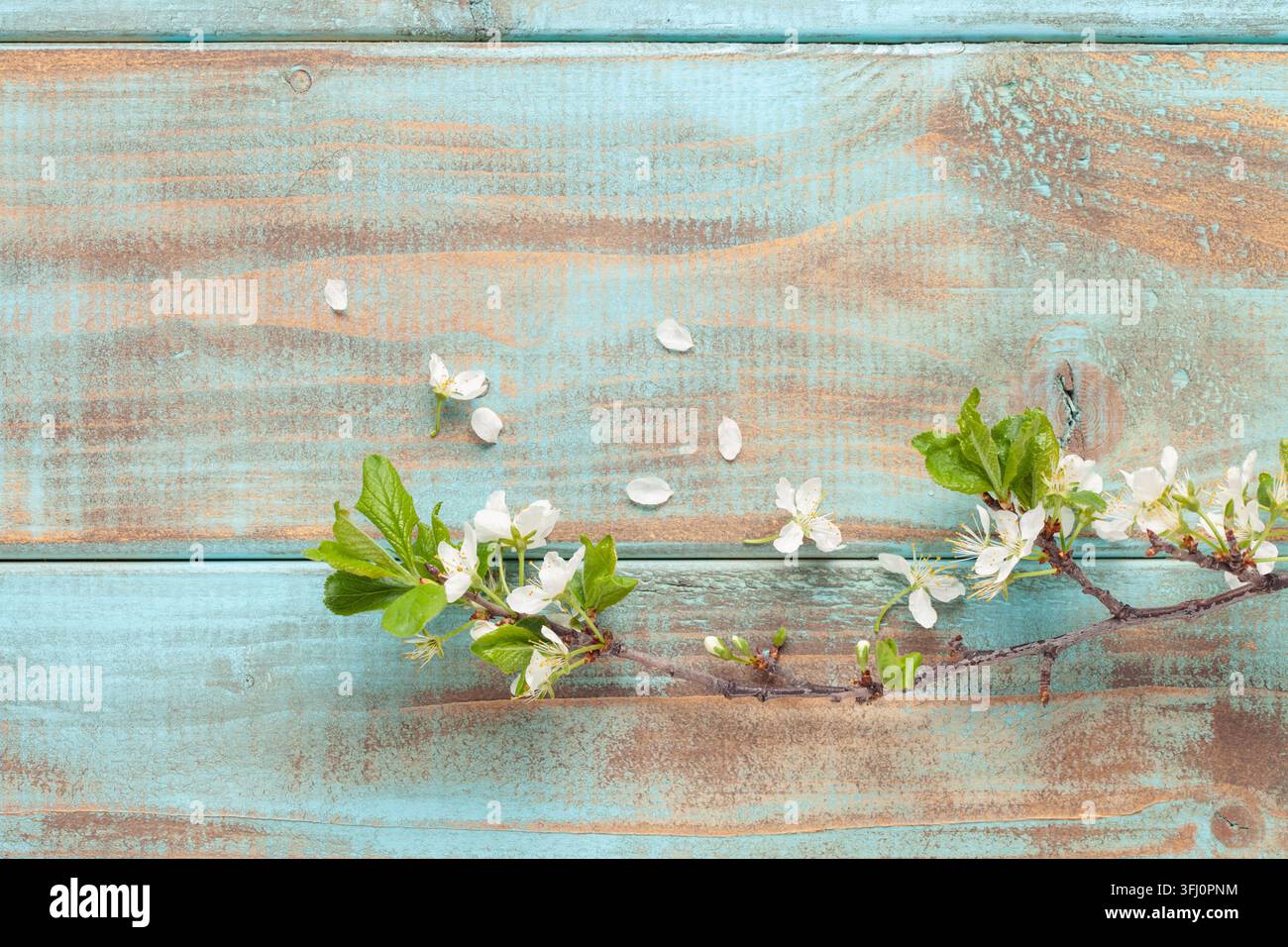 Easter background with colored eggs and decorations on green background . Top view. Flat lay Stock Photo