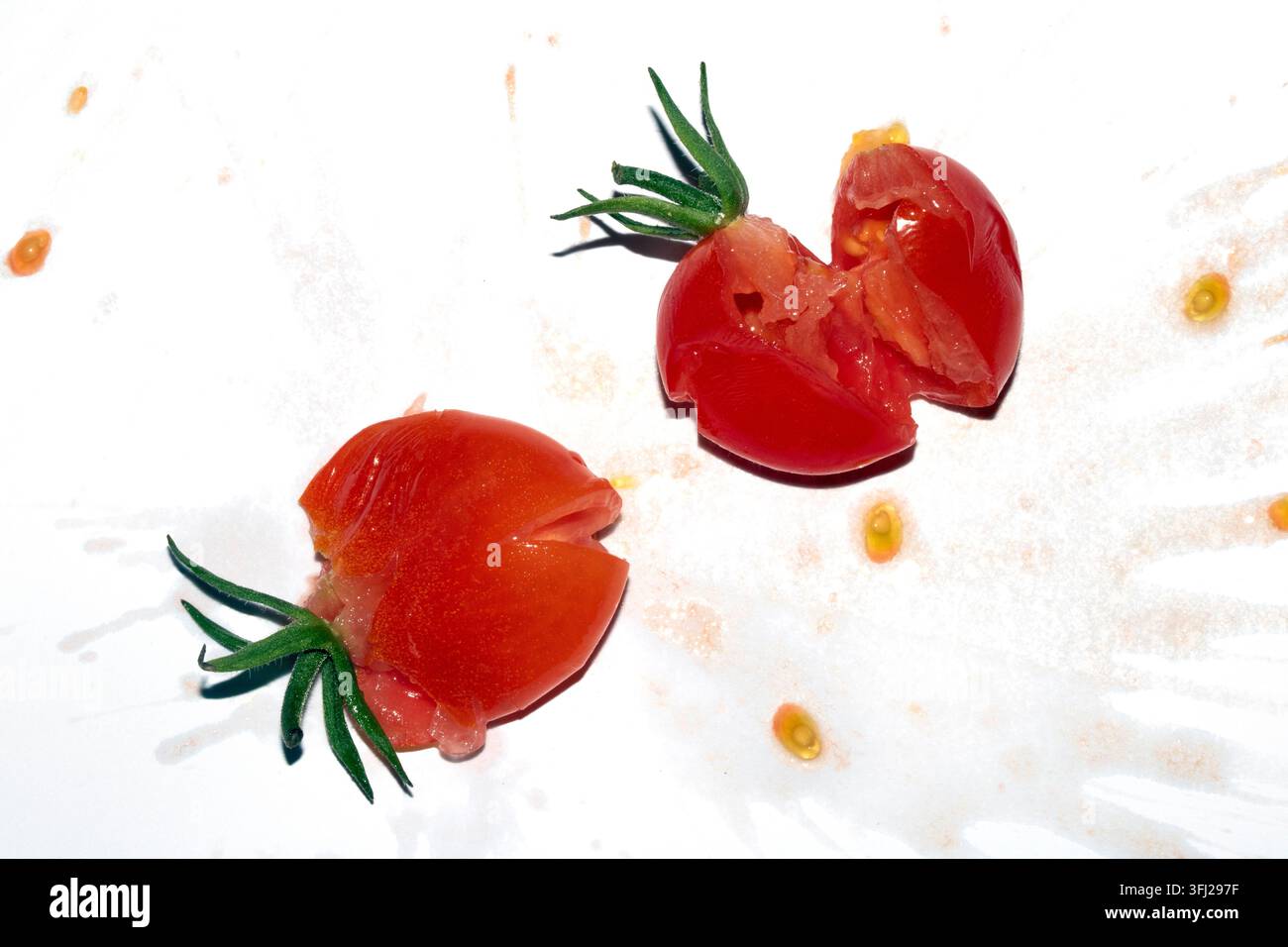 A squashed splattered and crushed broken fresh tomato with seeds Stock Photo