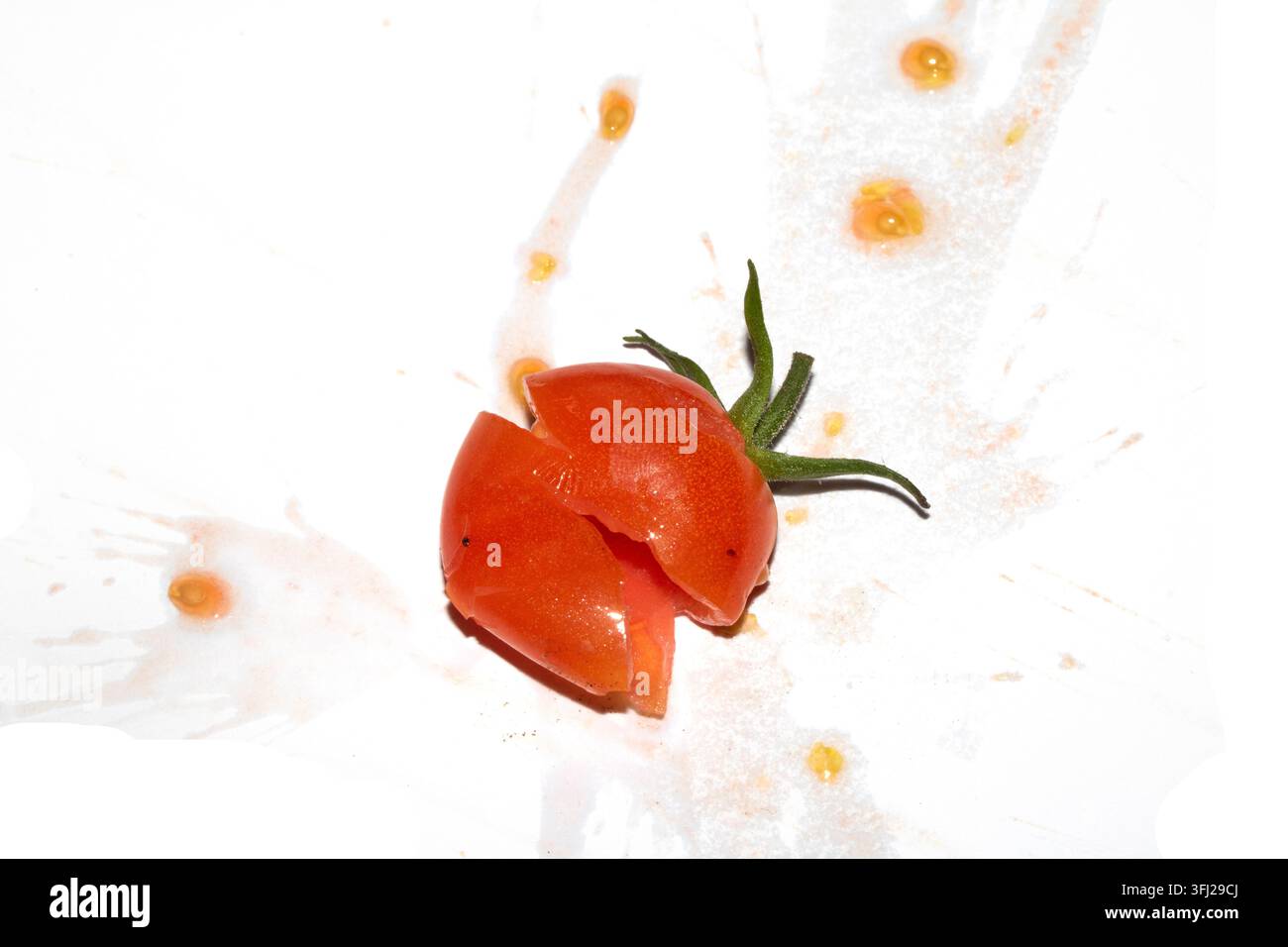 A squashed splattered and crushed broken fresh tomato with seeds Stock Photo