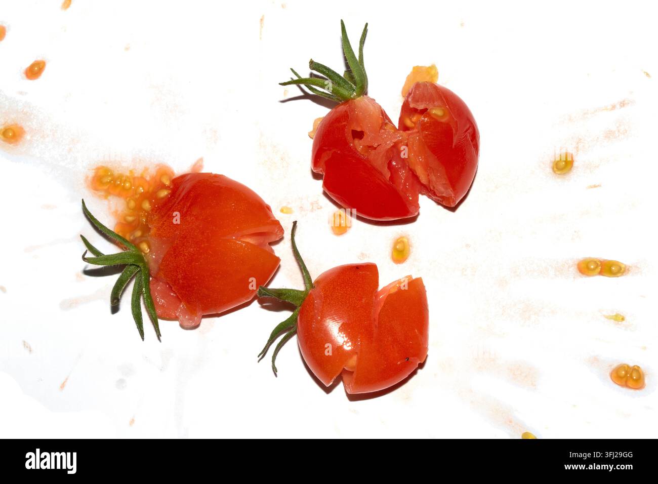 A squashed splattered and crushed broken fresh tomato with seeds Stock Photo