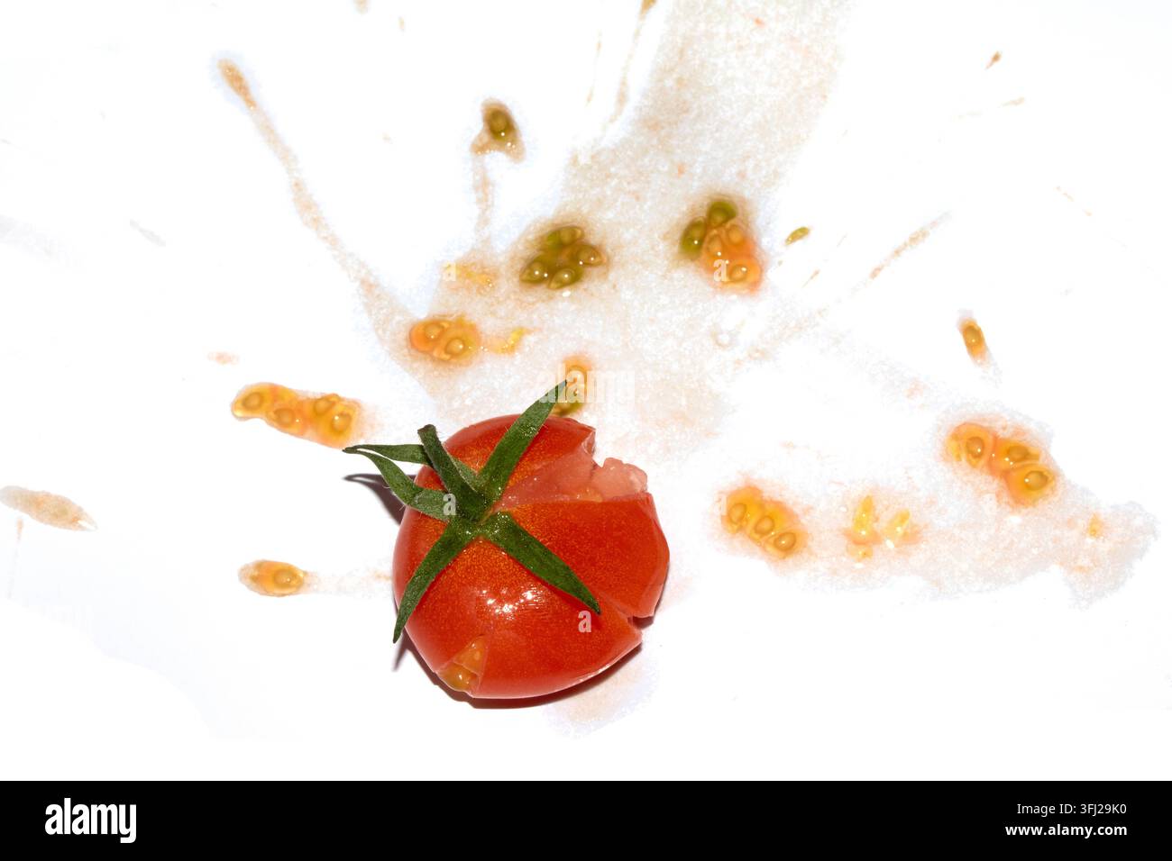 A squashed splattered and crushed broken fresh tomato with seeds Stock Photo