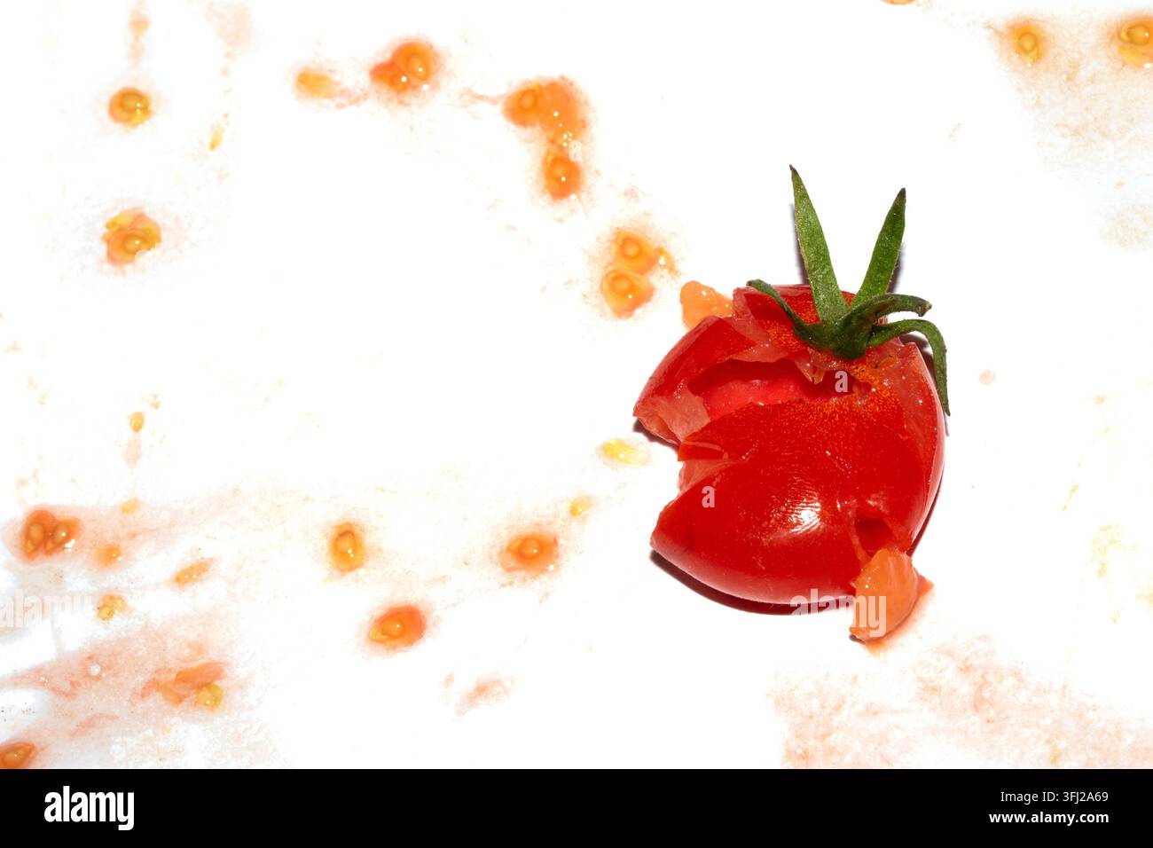 A squashed splattered and crushed broken fresh tomato with seeds Stock Photo