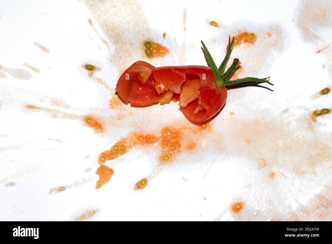 A squashed splattered and crushed broken fresh tomato with seeds Stock Photo