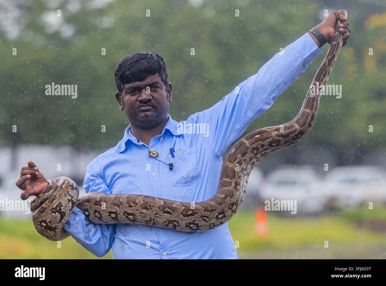 MUMBAI, INDIA - SEPTEMBER 18: Snake rescuer Atul Kamble rescues an 11 ...