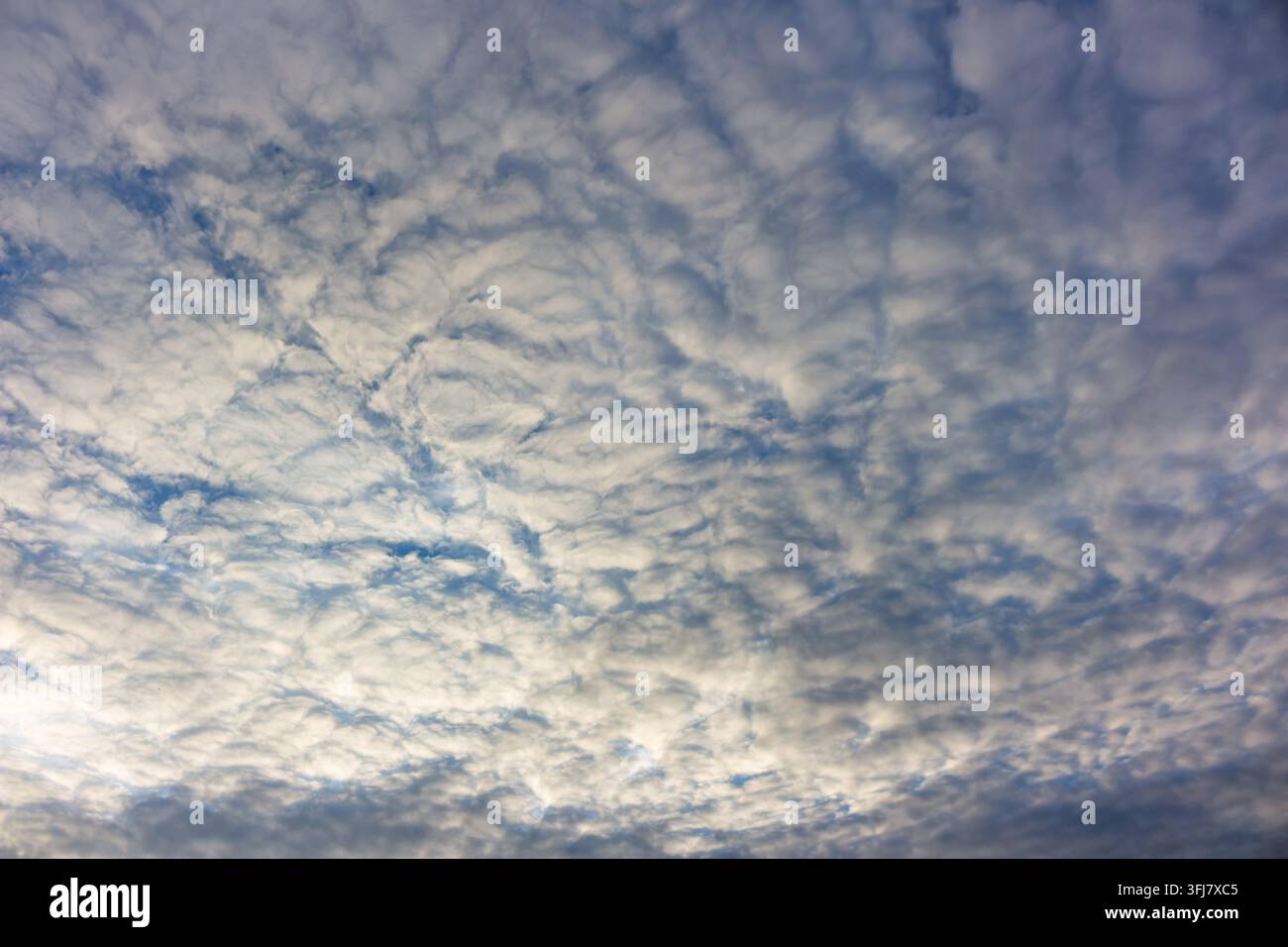 Captivating mackerel sky filled with white fluffy cloud layers drifting across the vast blue atmosphere, creating a peaceful and dramatic pattern perf Stock Photo