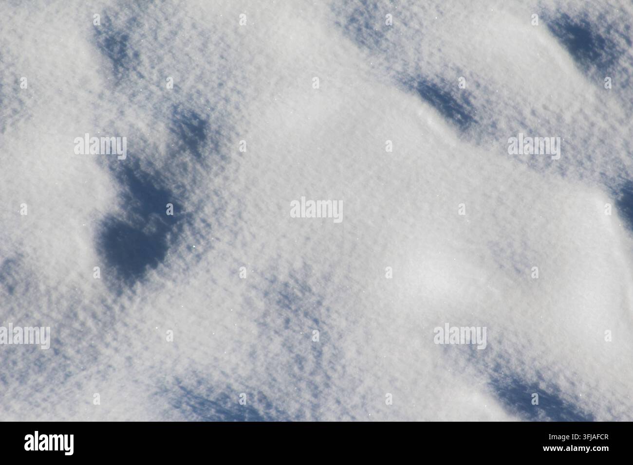 Close-up of fresh white snow texture with soft blue shadows cast by trees, sparkling under bright winter sunlight. Stock Photo