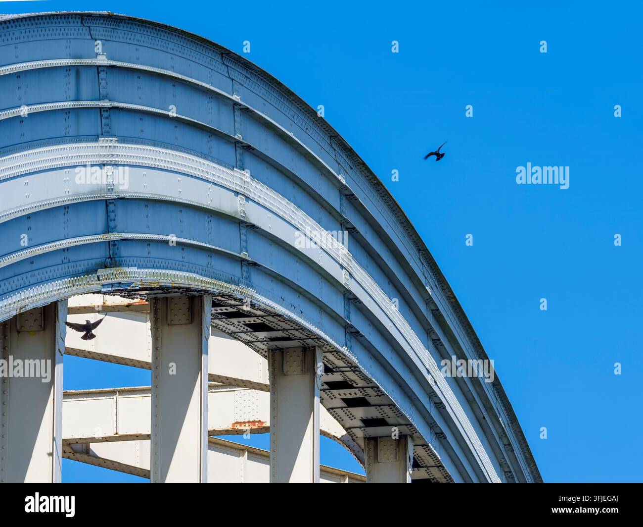 Arch birds hi-res stock photography and images - Alamy