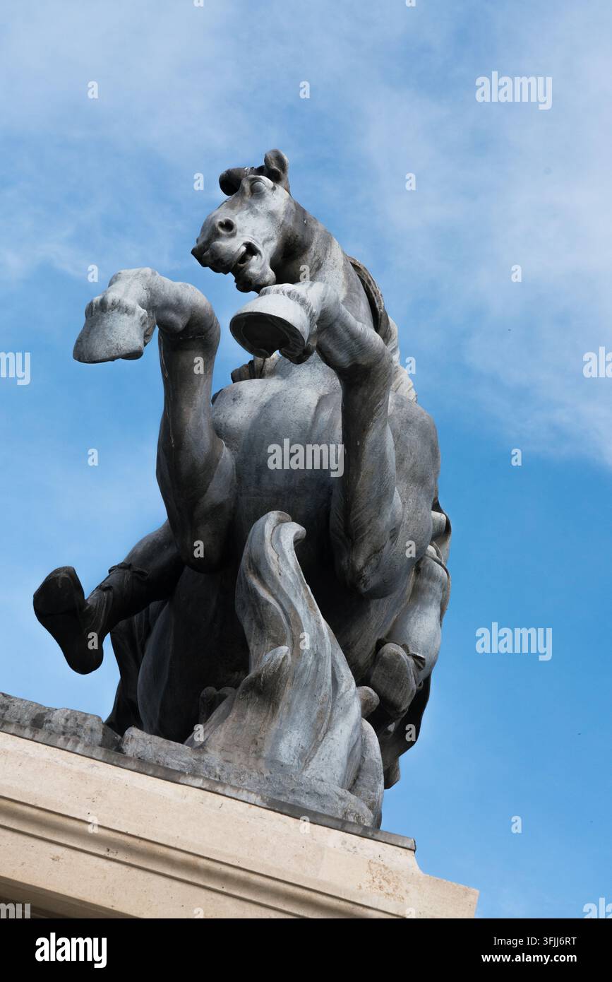 Marly horse hi-res stock photography and images - Alamy