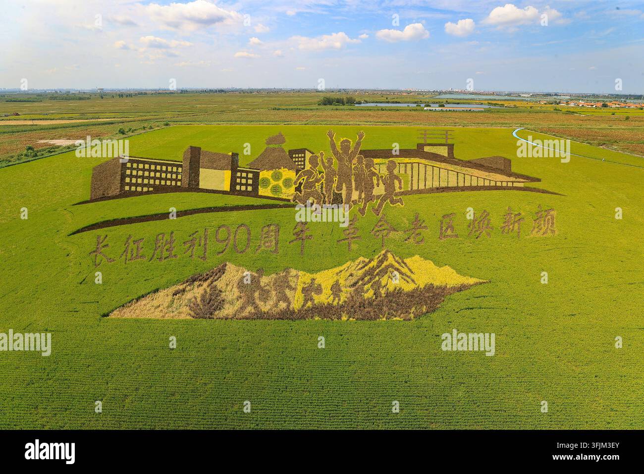 Rice Vector File A giant rice paddy art made of purple, yellow, green and other colored ...