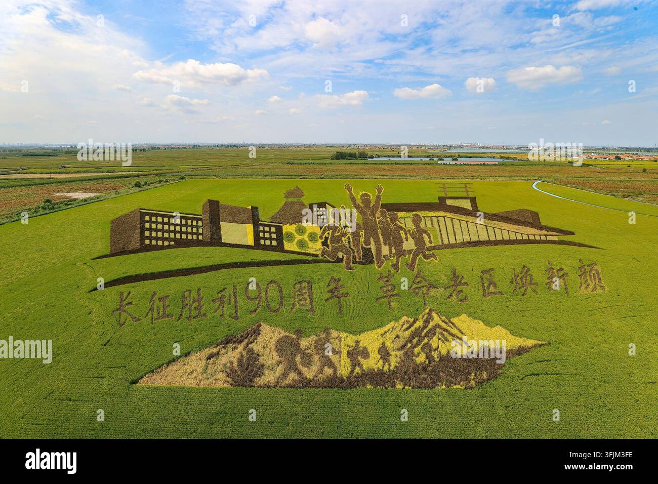 Rice Vector File A giant rice paddy art made of purple, yellow, green and other colored ...