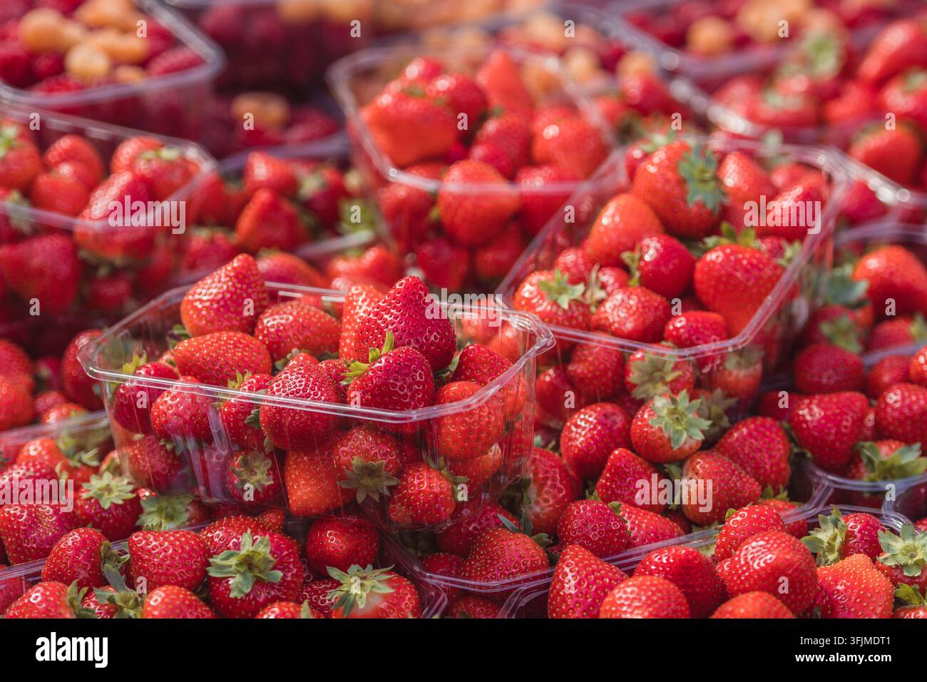 Fresh ripe big red strawberries with green leaves in a plastic container or box in a fruit and vegetable street market, close up Stock Photo