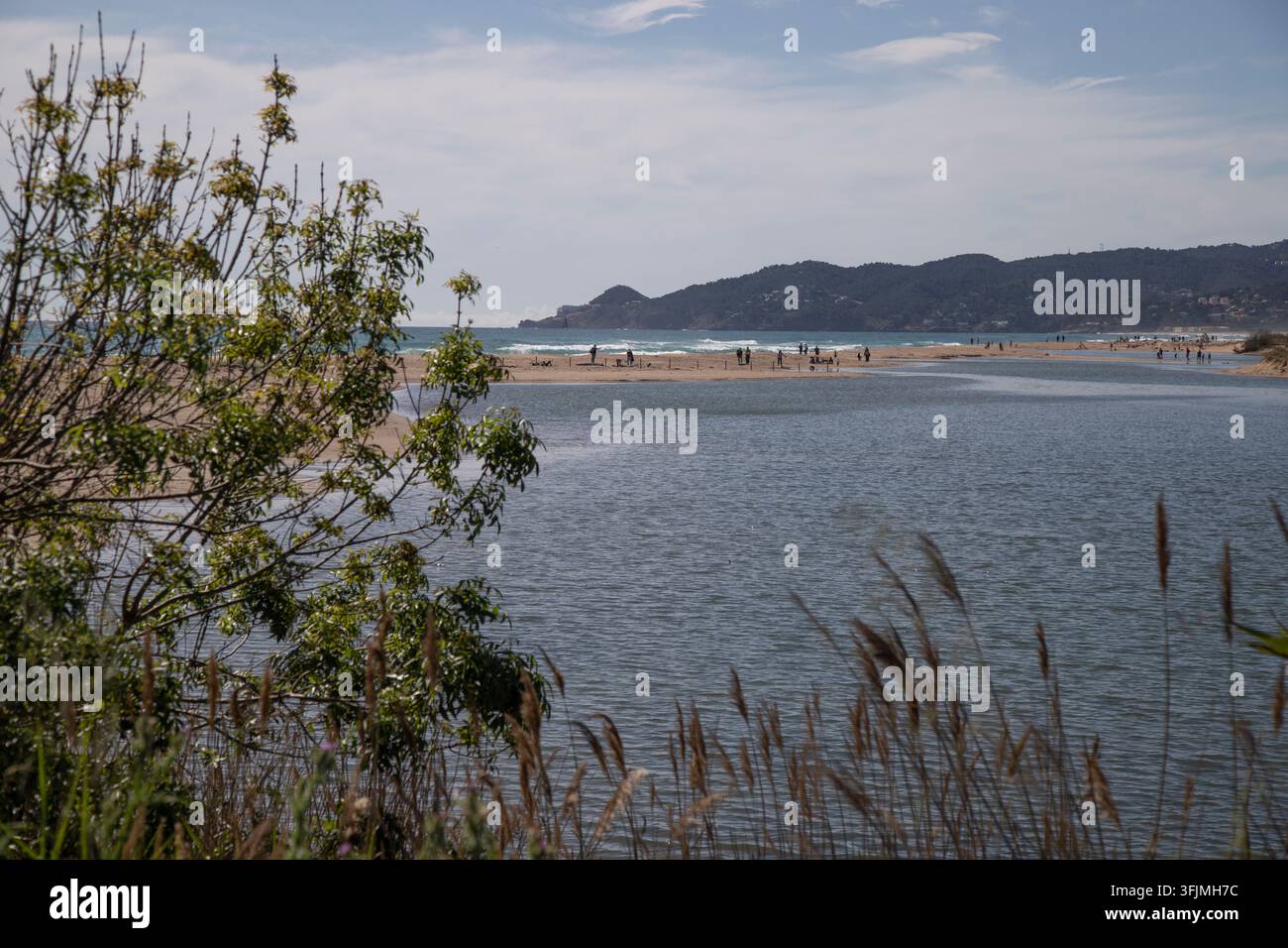 River mouth meeting ocean at sandy beach Stock Photo
