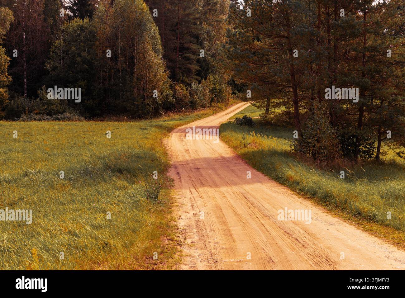 Winding dirt autumn road through green fields and a dense forest. Stock Photo