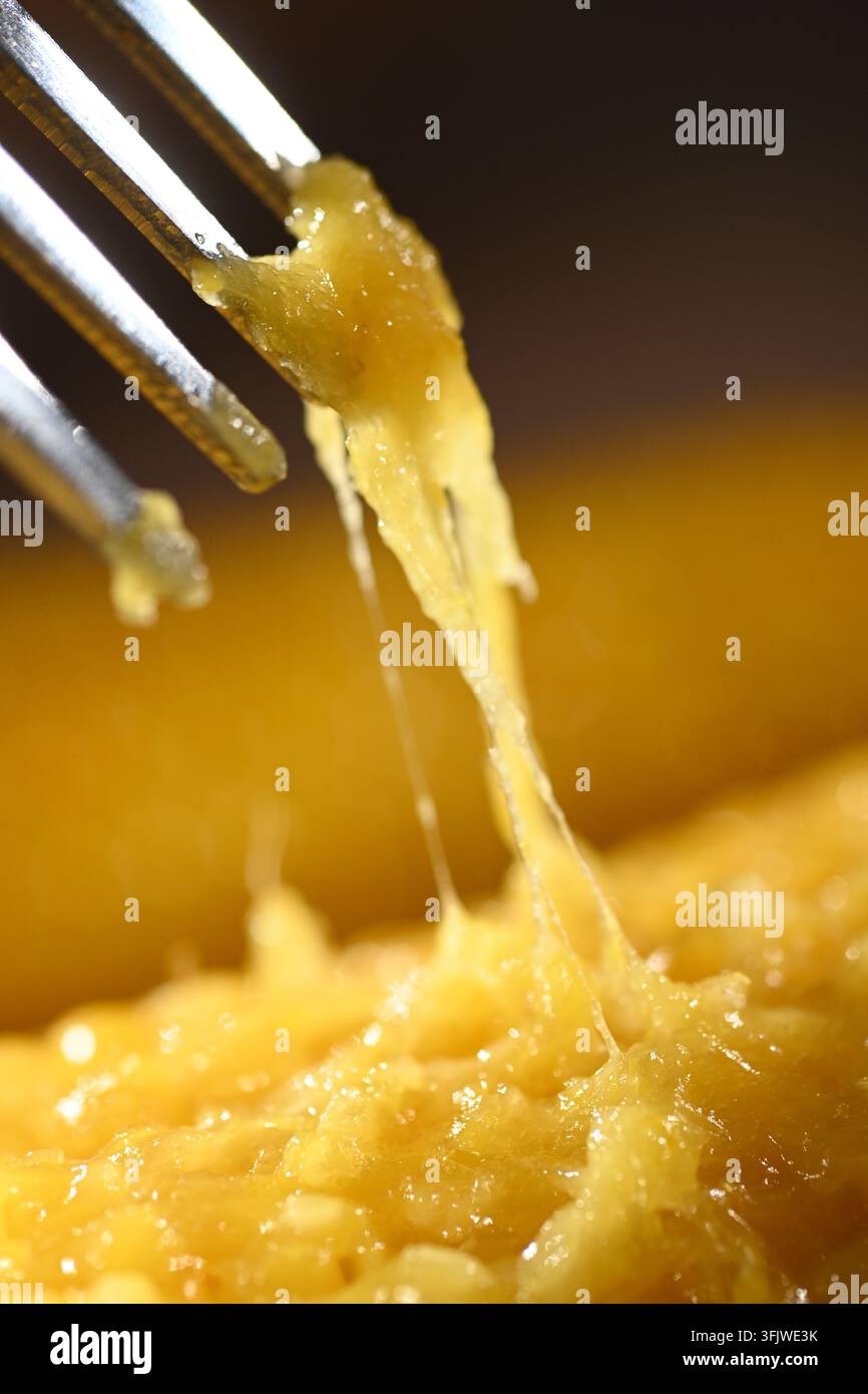Fork Lifting Sticky Glutinous Corn Kernels, Waxy Corn Close Up Stock Photo