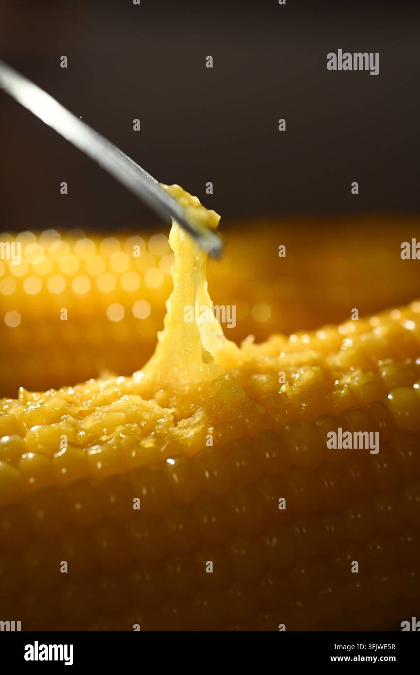 Fork Lifting Sticky Glutinous Corn Kernels, Waxy Corn Close Up Stock Photo