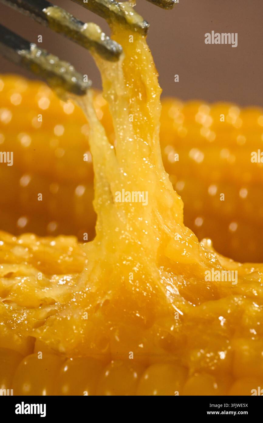 Fork Lifting Sticky Glutinous Corn Kernels, Waxy Corn Close Up Stock Photo