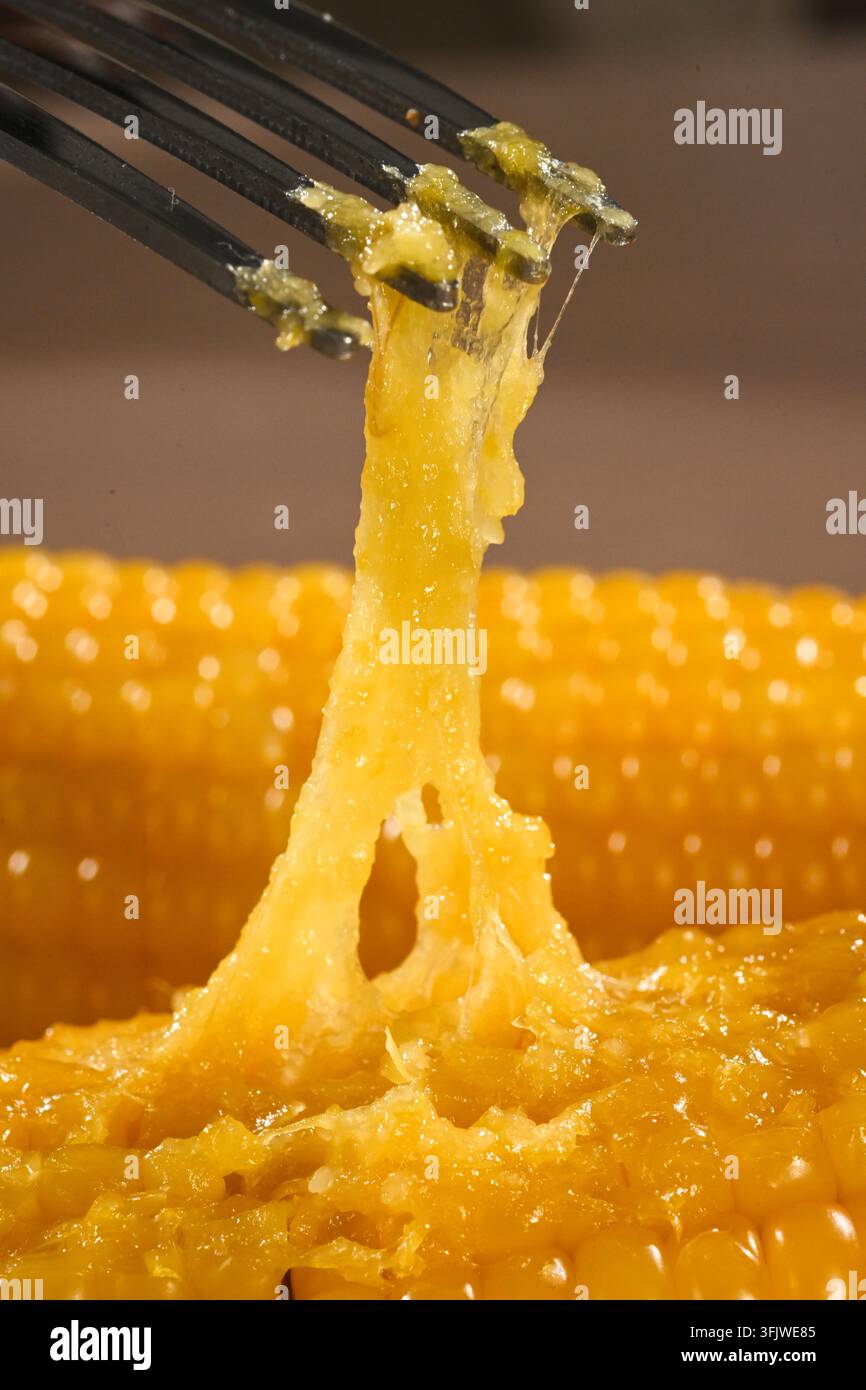 Fork Lifting Sticky Glutinous Corn Kernels, Waxy Corn Close Up Stock Photo