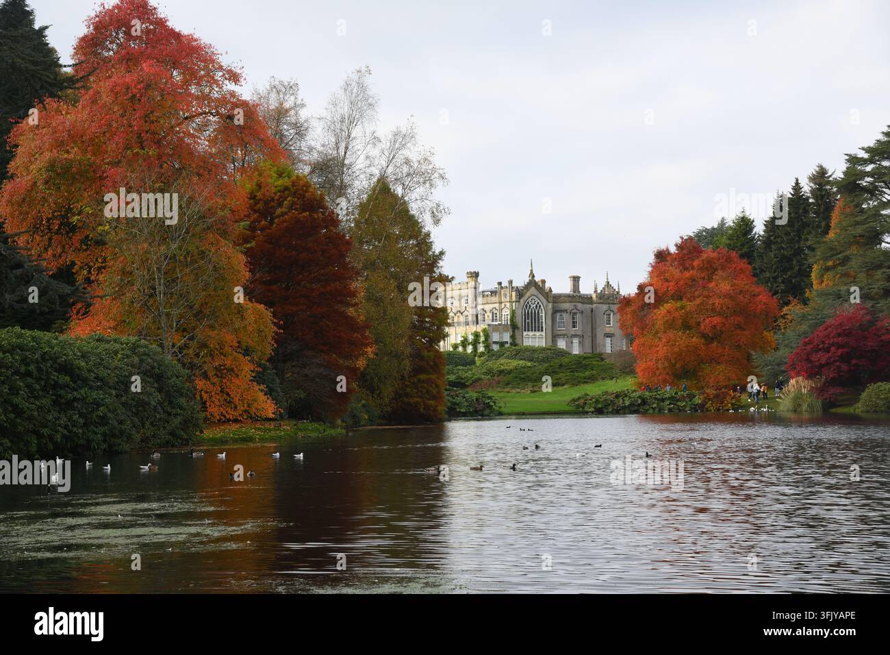 Golden autumn colours Stock Photo