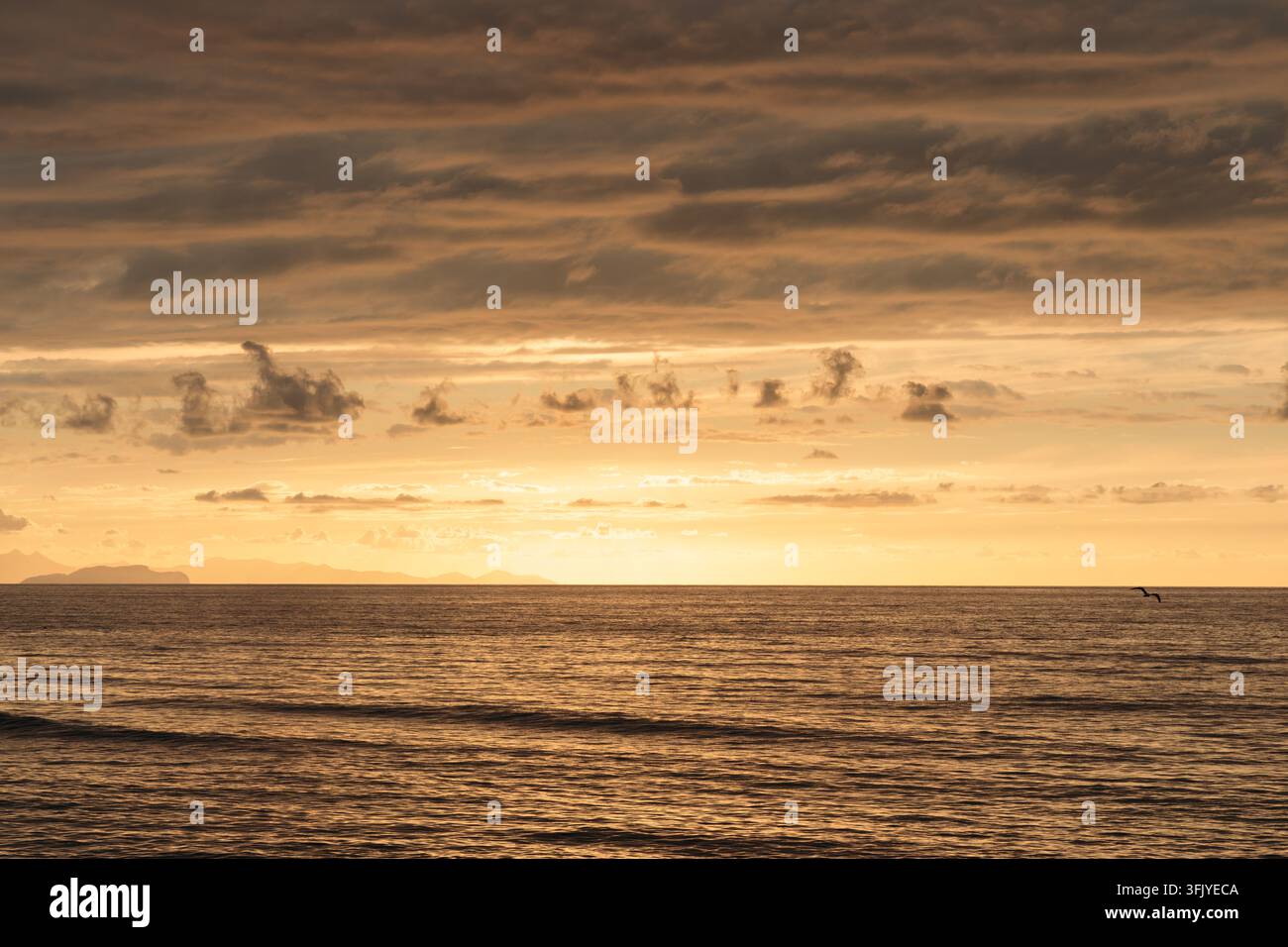 pastel orange sunset dusk sky and sea horizon background panorama ...