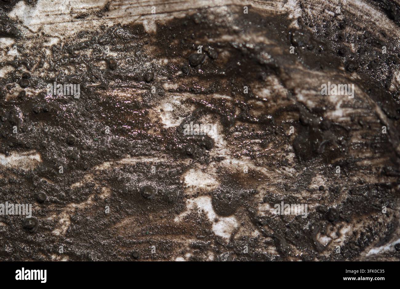 Wet mud isolated on white background. Dirty texture Stock Photo