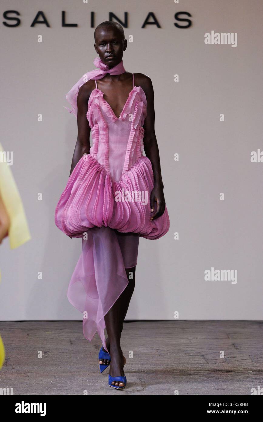 Compressed Spring Vector IPA88842532 - Milan, Milan Women’s Fashion Week Spring/Summer 2027 ...
