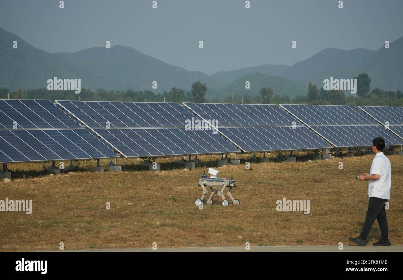 A worker controls a robotic dog near solar panels at the photovoltaic ...