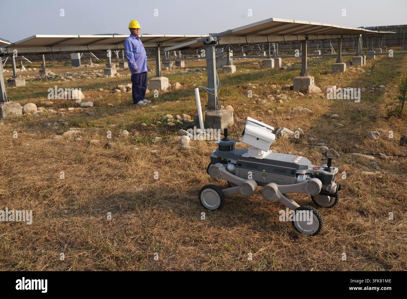 A worker looks at a robotic dog near solar panels at the photovoltaic ...