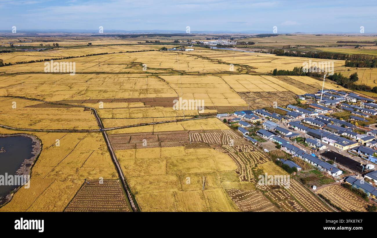 Grow Rice Vector (260923) -- NING'AN, Sept. 23, 2026 (Xinhua) -- An aerial drone photo ...