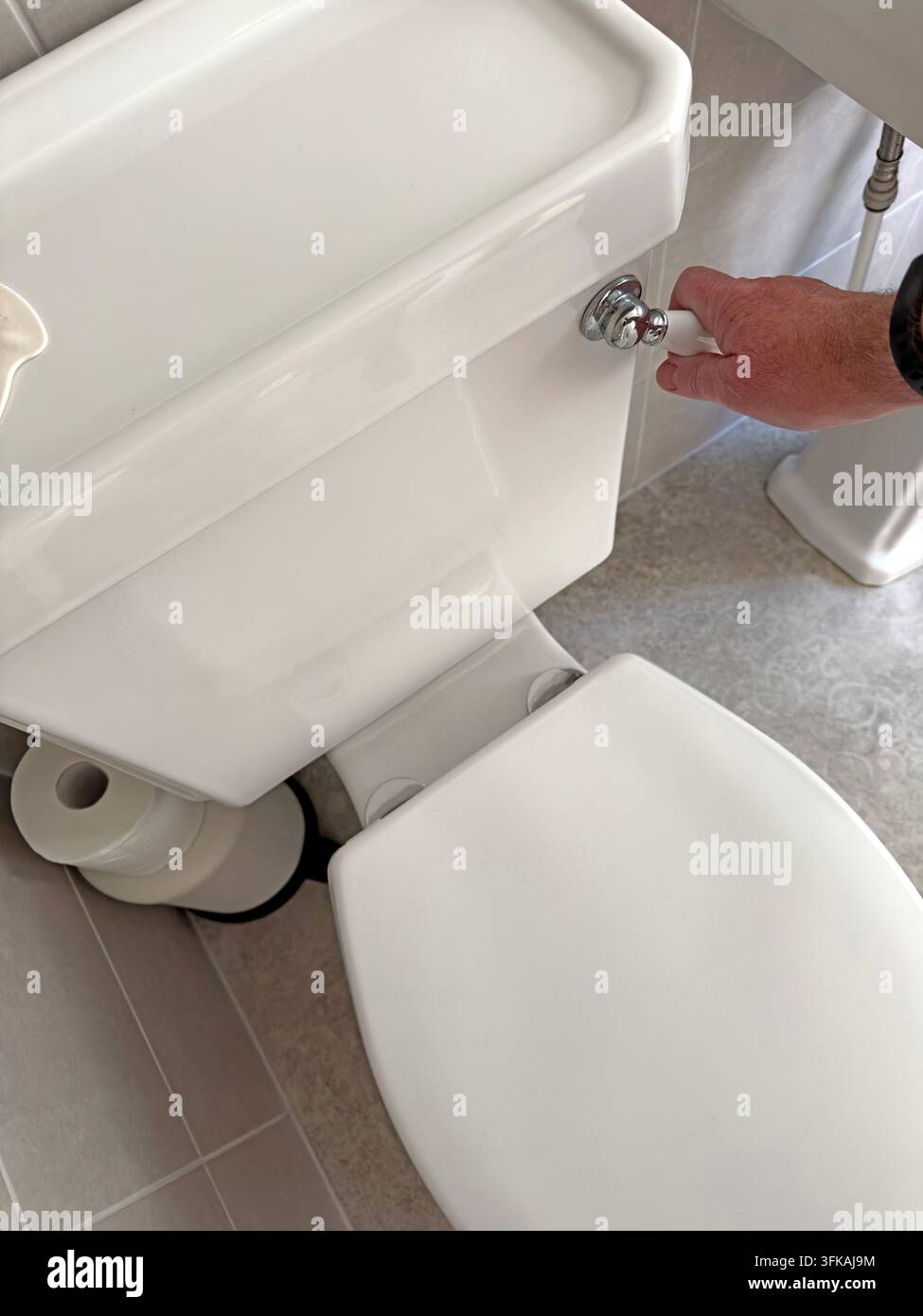 Flushing a modern domestic toilet with the lid closed, illustrating bathroom hygiene, sanitation, water use and everyday household routines. Stock Photo