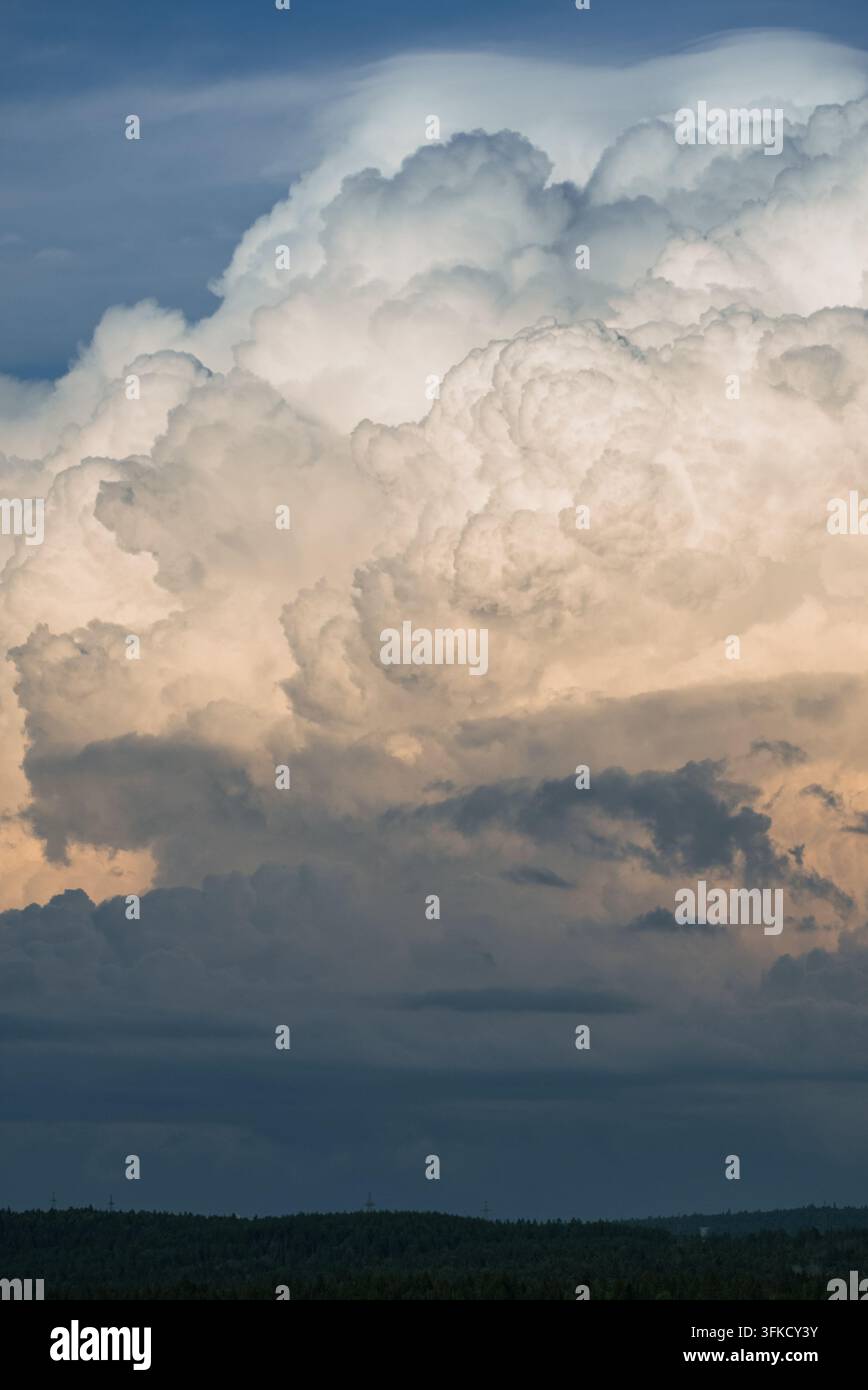 Towering cumulonimbus clouds dominate the sky, illuminated by the warm hues of the setting sun, creating a dramatic and awe-inspiring scene above a tranquil forest landscape Stock Photo