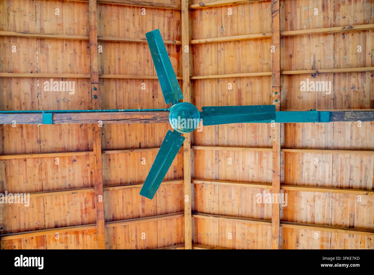 Low angle view of vintage green three-blade ceiling fan against wooden ceiling Stock Photo