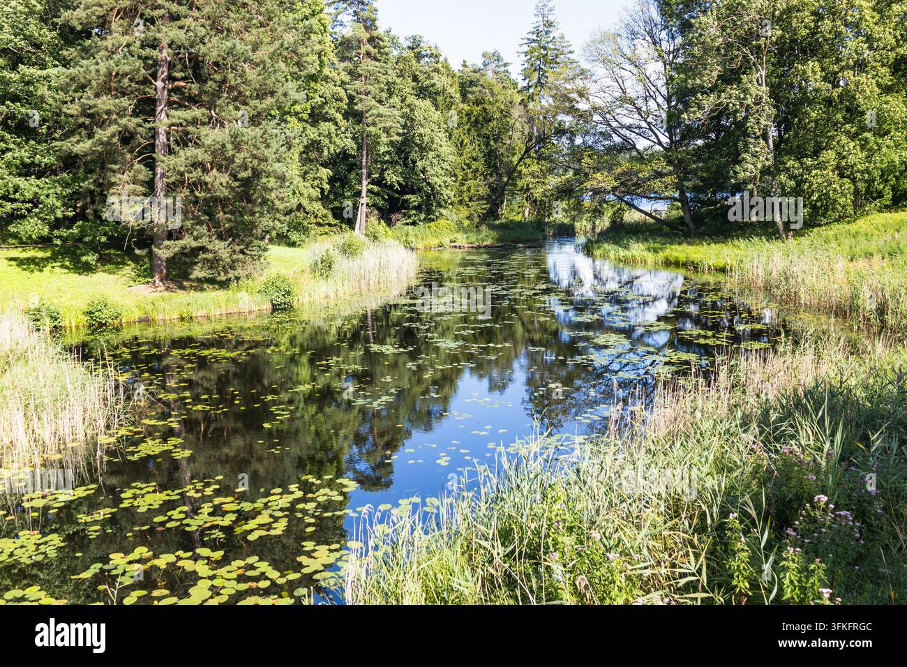 Calm river surrounded green grass hi-res stock photography and images ...
