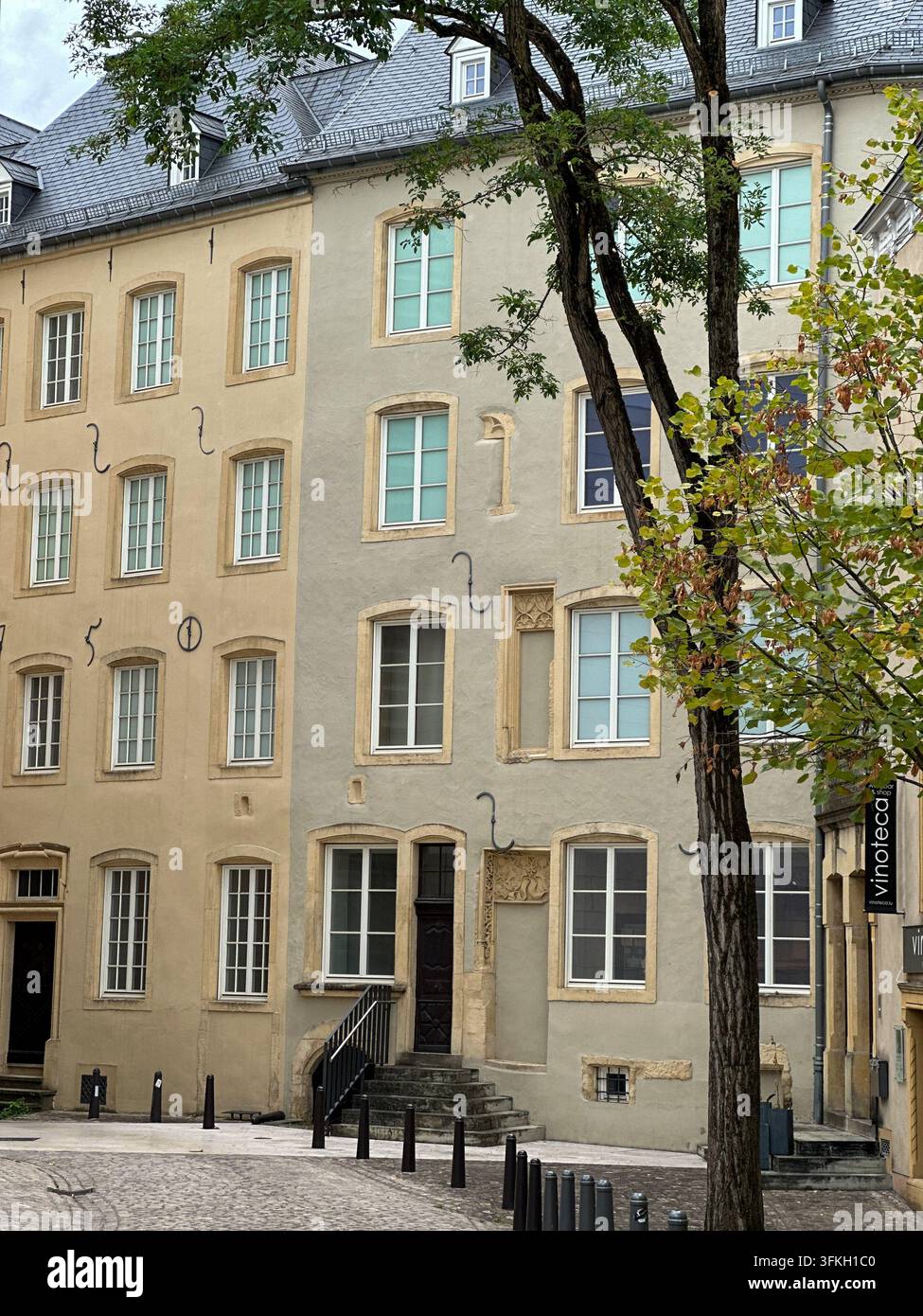 Historic european apartment buildings with classical windows and tree branches. Detailed exterior view of historic european apartment buildings featur - Smartphone Captured Stock Image