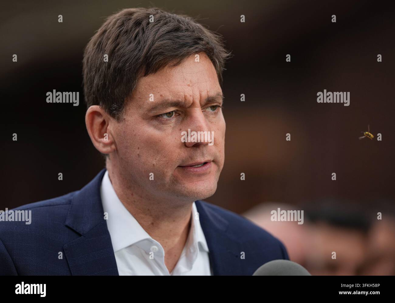 A wasp flies past B.C. NDP Leader David Eby as he speaks during a ...