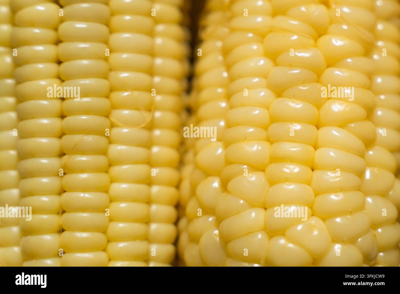 Macro close-up of cooked yellow corn kernels Stock Photo