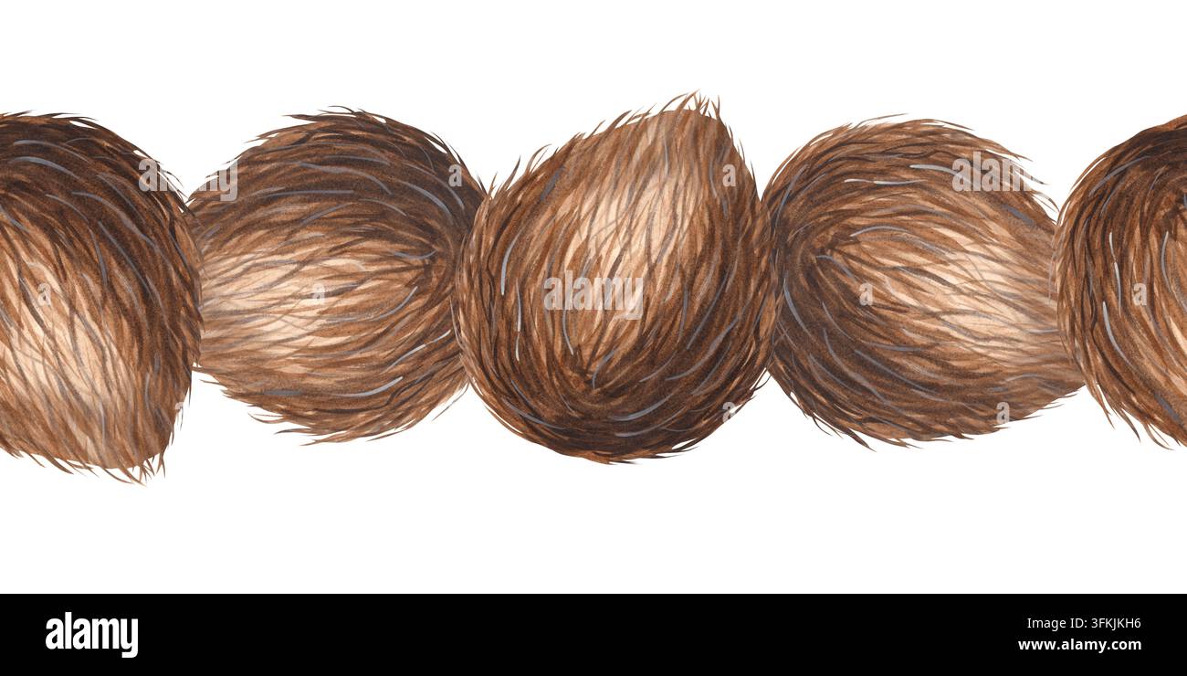 Coconut whole with leaves watercolor seamless border. Tropical fruits ...