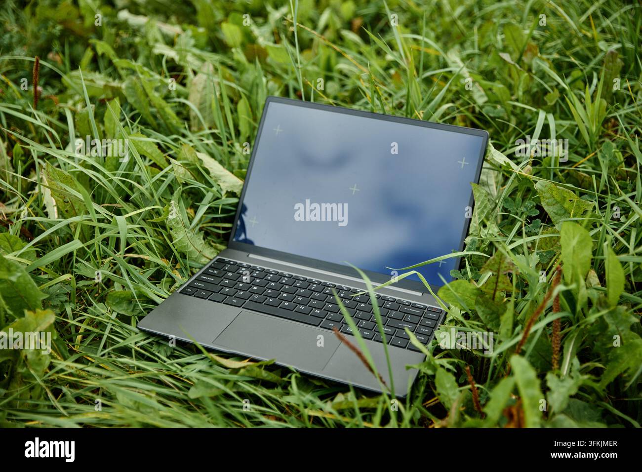 Laptop with Blank Screen Placed on Green Grass Outdoors Stock Photo