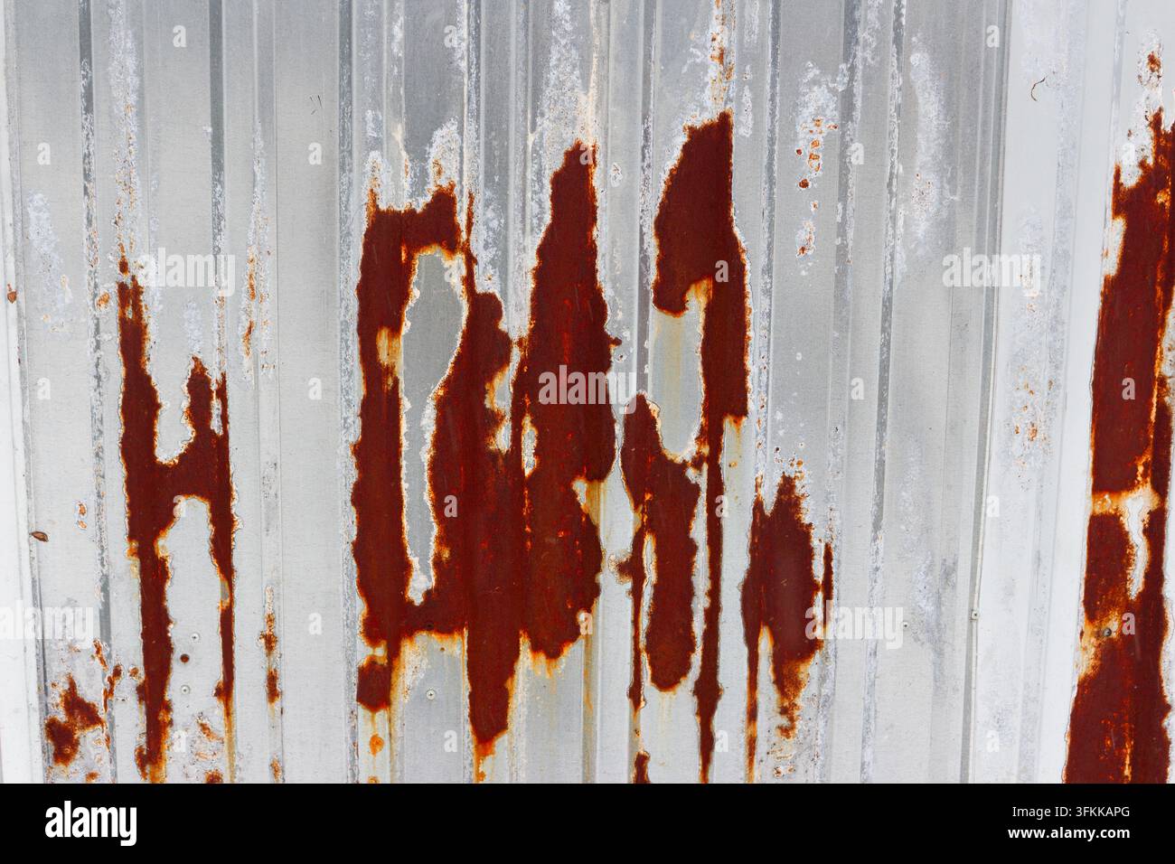 Close-up of a weathered corrugated metal sheet featuring vibrant orange rust stains and peeling paint, creating a gritty industrial texture with a com Stock Photo