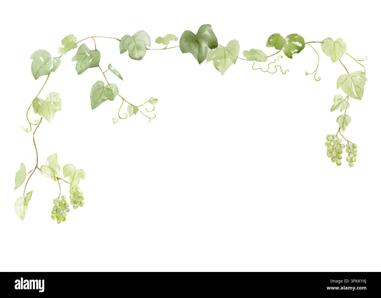 Watercolor green grapevine frame with grape clusters, leaves and ...
