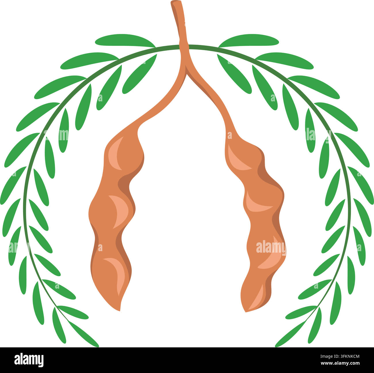 tamarind icon vector element concept design template web Stock Vector