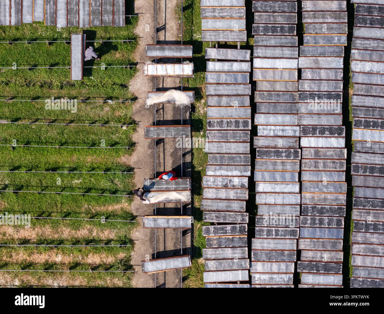 Aerial view of workers drying noodles on racks in a field in Polanharjo ...
